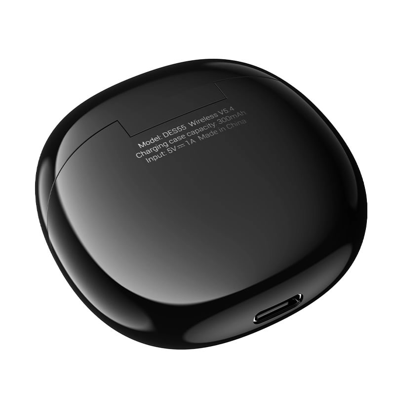 hoco DES55 Cool Wireless Bluetooth Earbuds