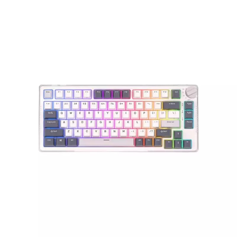 Royal Kludge RK H81 Tri Mode RGB Hot Swap (Blue Switch) White Night Mechanical Gaming Keyboard