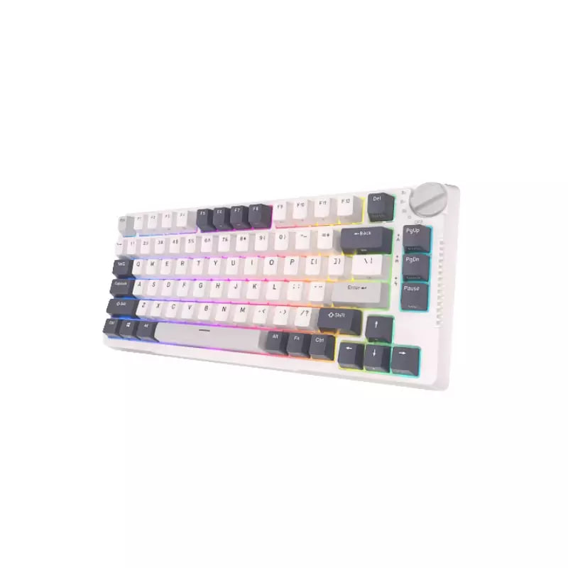 Royal Kludge RK H81 Tri Mode RGB Hot Swap (Blue Switch) White Night Mechanical Gaming Keyboard