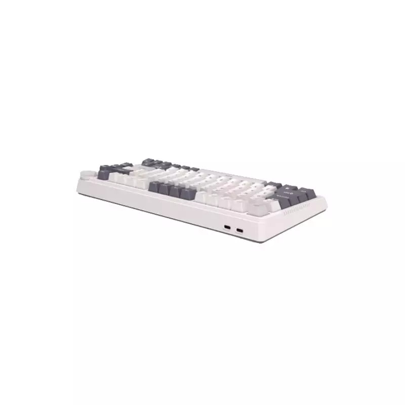 Royal Kludge RK H81 Tri Mode RGB Hot Swap (Blue Switch) White Night Mechanical Gaming Keyboard