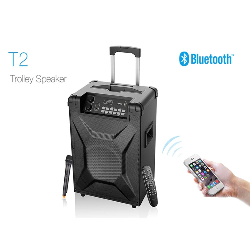T2-1